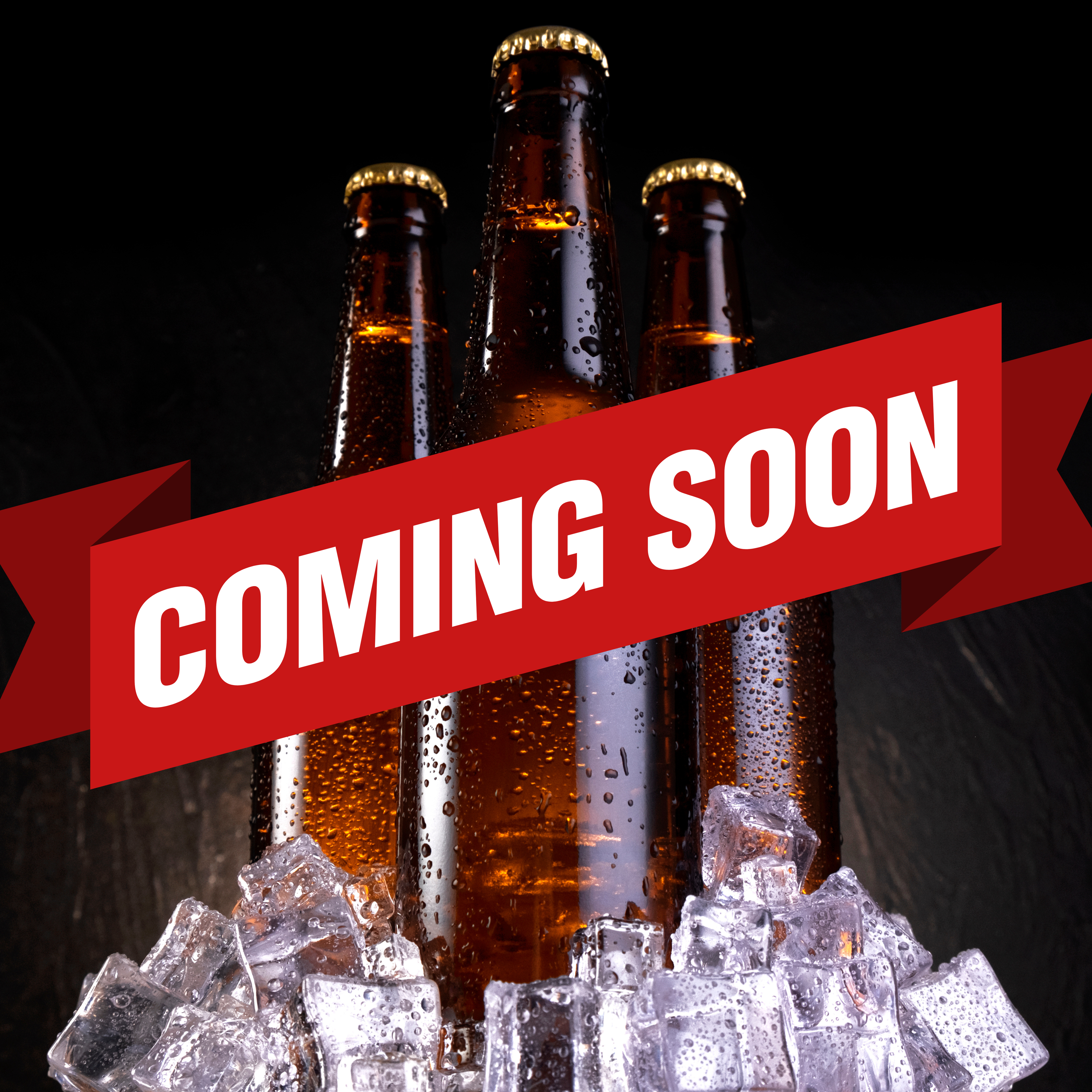 Bottles of beer