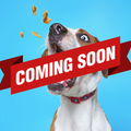 Dog treats